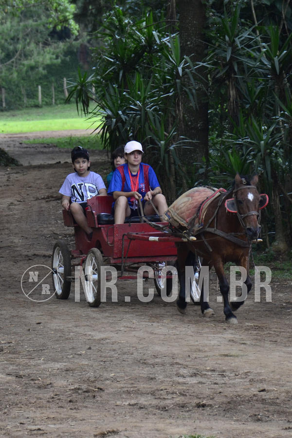 Buy your photos of the eventOL� 6� ANO DE 05  A 07/12/18 on Fotop