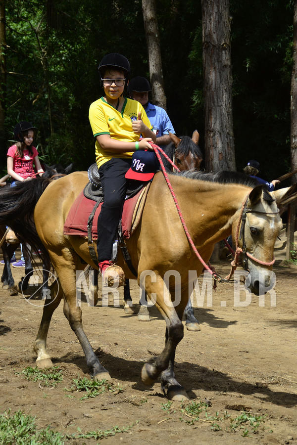 Buy your photos of the eventOL� 6� ANO DE 05  A 07/12/18 on Fotop