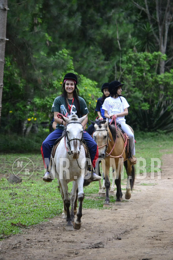 Buy your photos of the eventOL� 6� ANO DE 05  A 07/12/18 on Fotop