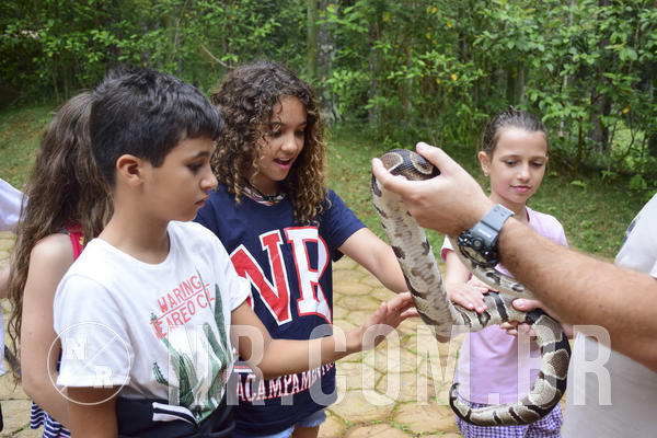 Buy your photos of the eventOL� 6� ANO DE 05  A 07/12/18 on Fotop