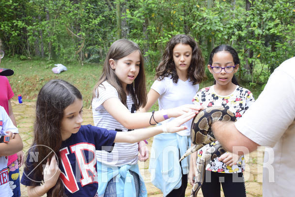 Buy your photos of the eventOL� 6� ANO DE 05  A 07/12/18 on Fotop