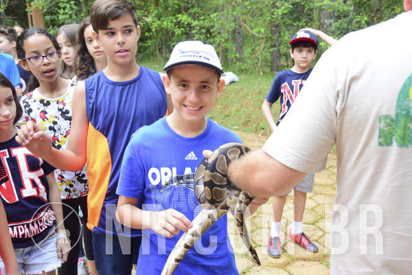 Buy your photos of the eventOL� 6� ANO DE 05  A 07/12/18 on Fotop