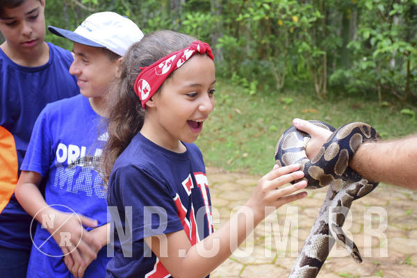 Buy your photos of the eventOL� 6� ANO DE 05  A 07/12/18 on Fotop