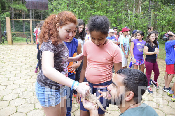 Buy your photos of the eventOL� 6� ANO DE 05  A 07/12/18 on Fotop