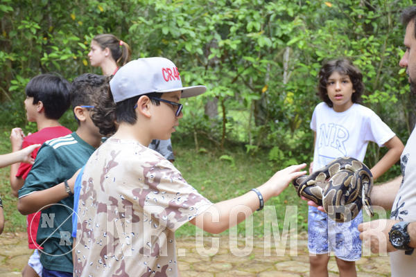 Buy your photos of the eventOL� 6� ANO DE 05  A 07/12/18 on Fotop