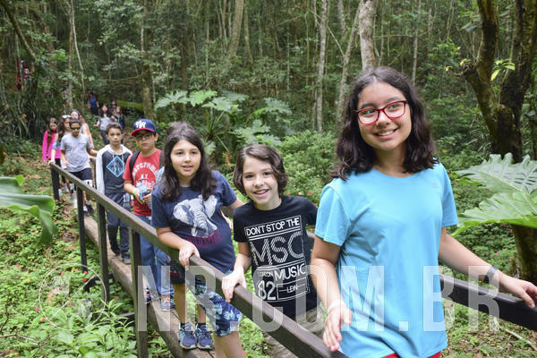 Buy your photos of the eventOL� 6� ANO DE 05  A 07/12/18 on Fotop