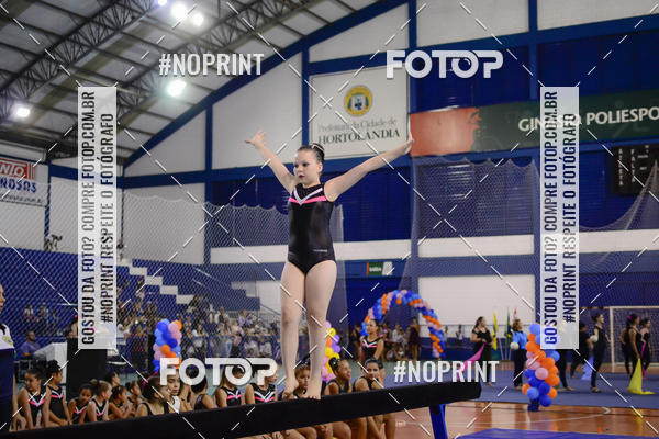 Buy your photos of the eventFESTIVAL DE GINASTICA - HORTOLNDIA   on Fotop