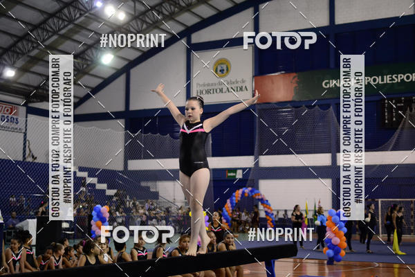 Buy your photos of the eventFESTIVAL DE GINASTICA - HORTOLNDIA   on Fotop