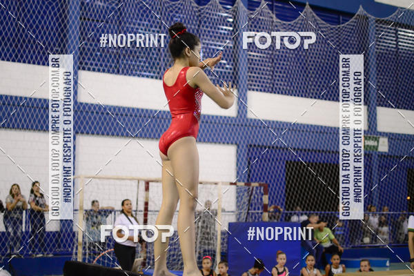 Buy your photos of the eventFESTIVAL DE GINASTICA - HORTOLNDIA   on Fotop