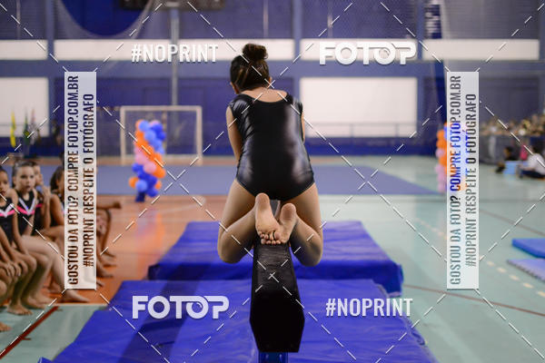 Buy your photos of the eventFESTIVAL DE GINASTICA - HORTOLNDIA   on Fotop