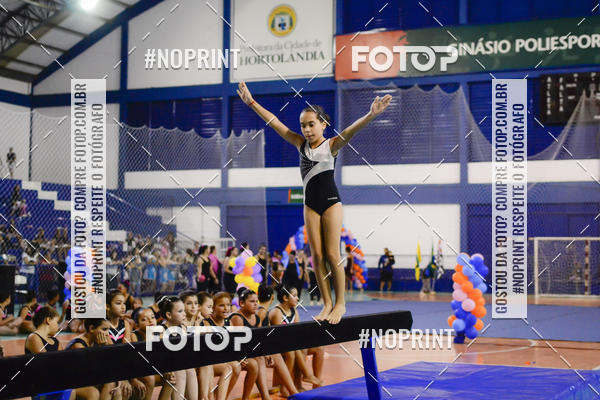 Buy your photos of the eventFESTIVAL DE GINASTICA - HORTOLNDIA   on Fotop