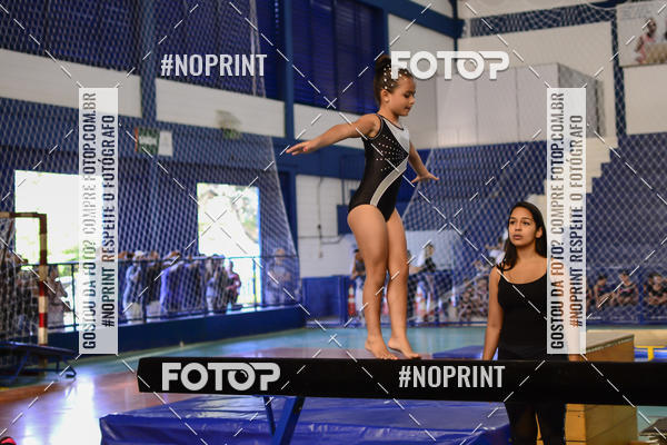 Buy your photos of the eventFESTIVAL DE GINASTICA - HORTOLNDIA   on Fotop
