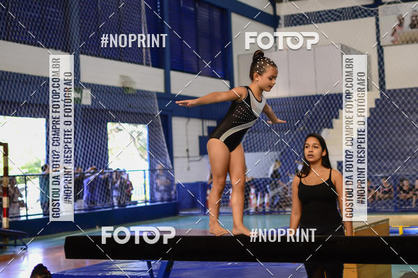 Buy your photos of the eventFESTIVAL DE GINASTICA - HORTOLNDIA   on Fotop