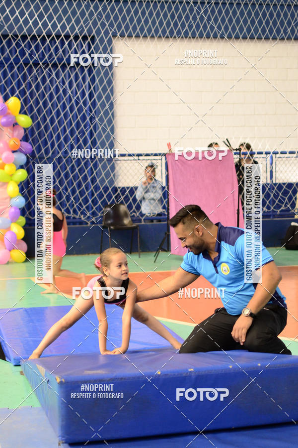 Buy your photos of the eventFESTIVAL DE GINASTICA - HORTOLNDIA   on Fotop