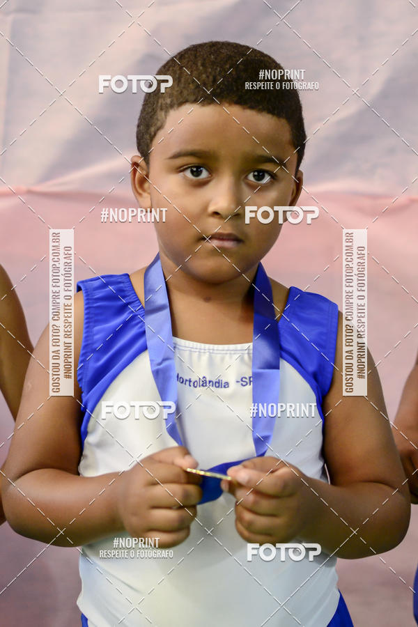 Buy your photos of the eventFESTIVAL DE GINASTICA - HORTOLNDIA   on Fotop