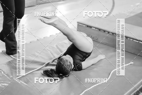 Buy your photos of the eventFESTIVAL DE GINASTICA - HORTOLNDIA   on Fotop