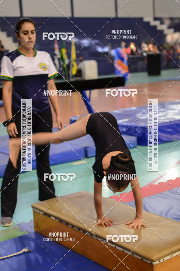 Buy your photos of the eventFESTIVAL DE GINASTICA - HORTOLNDIA   on Fotop