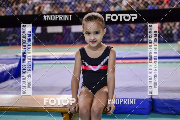 Buy your photos of the eventFESTIVAL DE GINASTICA - HORTOLNDIA   on Fotop