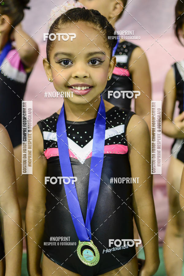 Buy your photos of the eventFESTIVAL DE GINASTICA - HORTOLNDIA   on Fotop