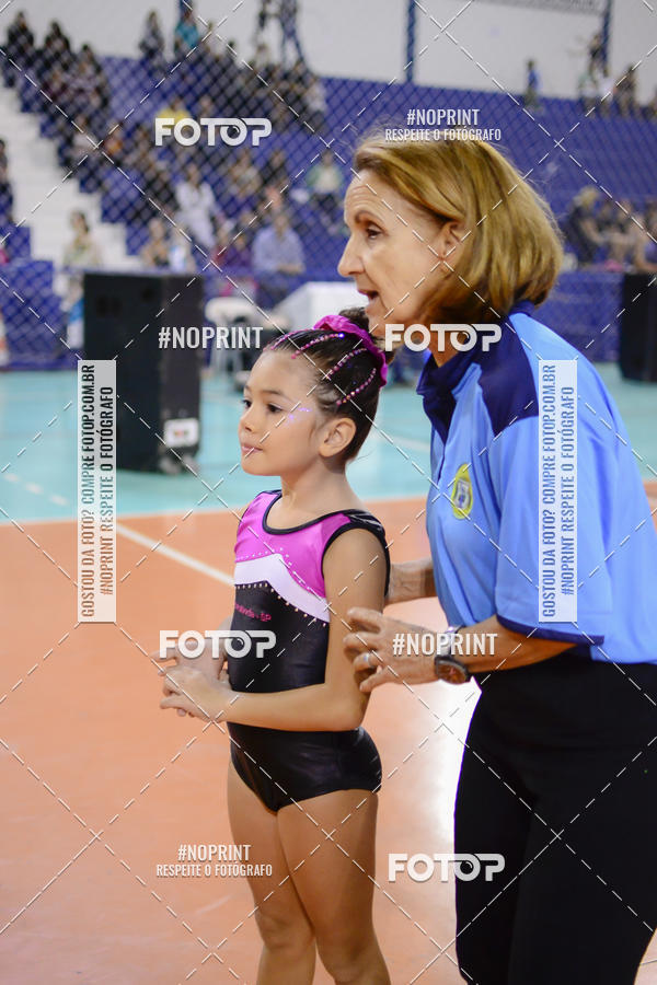 Buy your photos of the eventFESTIVAL DE GINASTICA - HORTOLNDIA   on Fotop