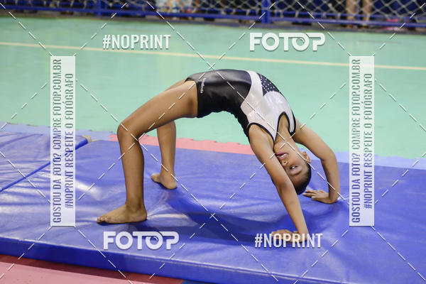 Buy your photos of the eventFESTIVAL DE GINASTICA - HORTOLNDIA   on Fotop