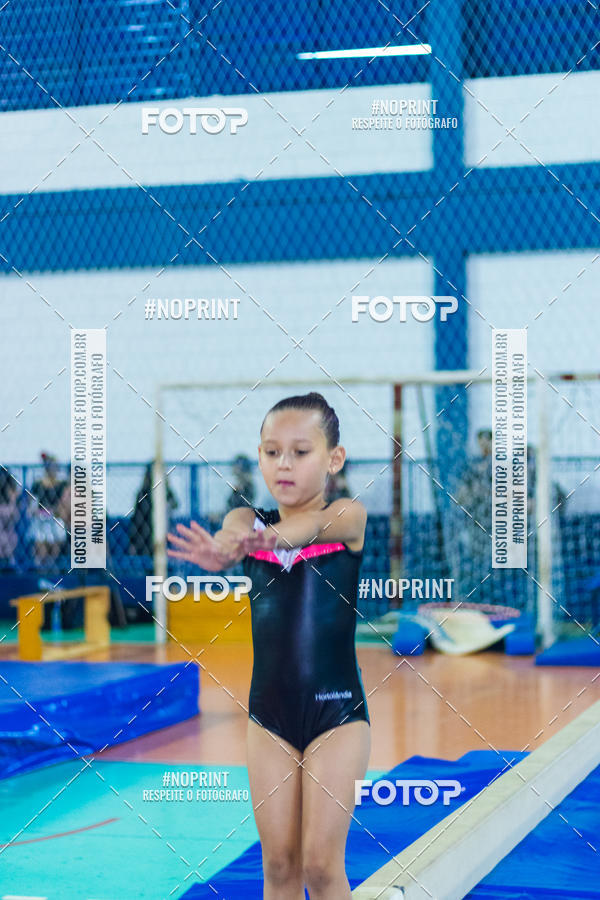 Buy your photos of the eventFESTIVAL DE GINASTICA - HORTOLNDIA   on Fotop
