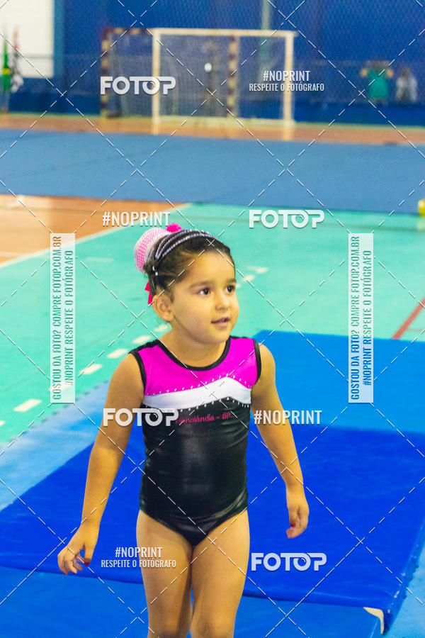 Buy your photos of the eventFESTIVAL DE GINASTICA - HORTOLNDIA   on Fotop
