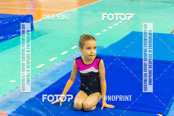 Buy your photos of the eventFESTIVAL DE GINASTICA - HORTOLNDIA   on Fotop