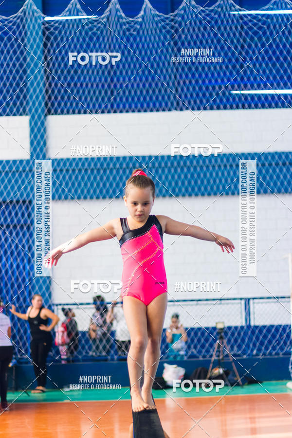 Buy your photos of the eventFESTIVAL DE GINASTICA - HORTOLNDIA   on Fotop