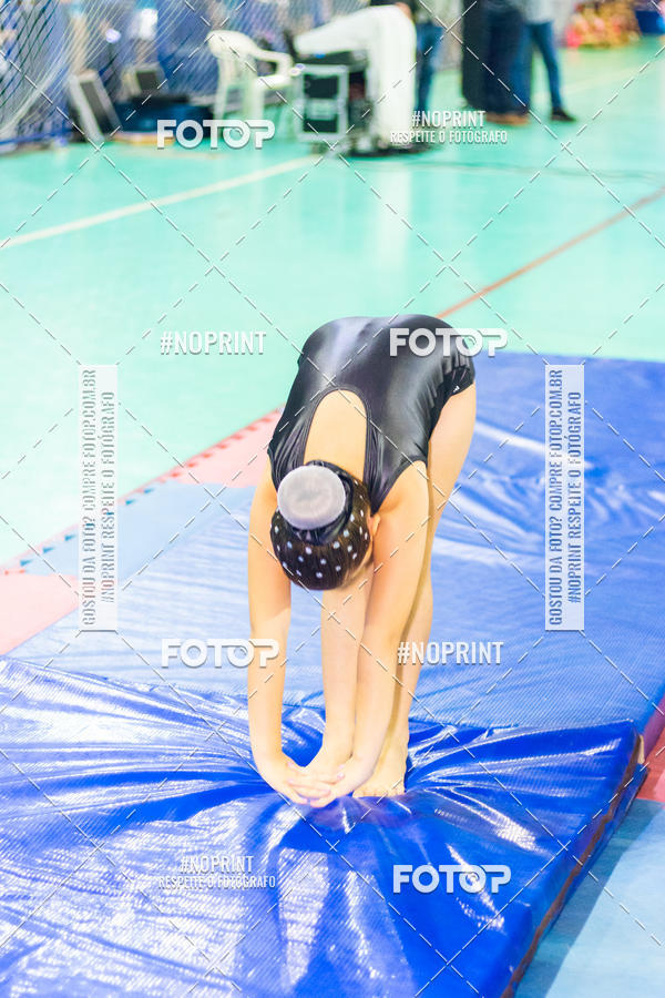 Buy your photos of the eventFESTIVAL DE GINASTICA - HORTOLNDIA   on Fotop