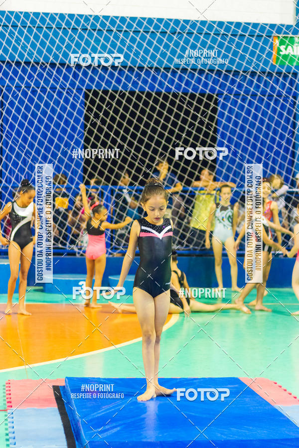 Buy your photos of the eventFESTIVAL DE GINASTICA - HORTOLNDIA   on Fotop