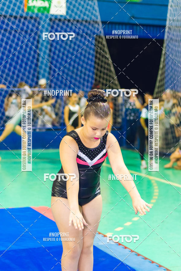 Buy your photos of the eventFESTIVAL DE GINASTICA - HORTOLNDIA   on Fotop