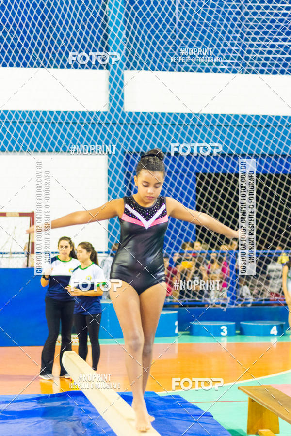 Buy your photos of the eventFESTIVAL DE GINASTICA - HORTOLNDIA   on Fotop
