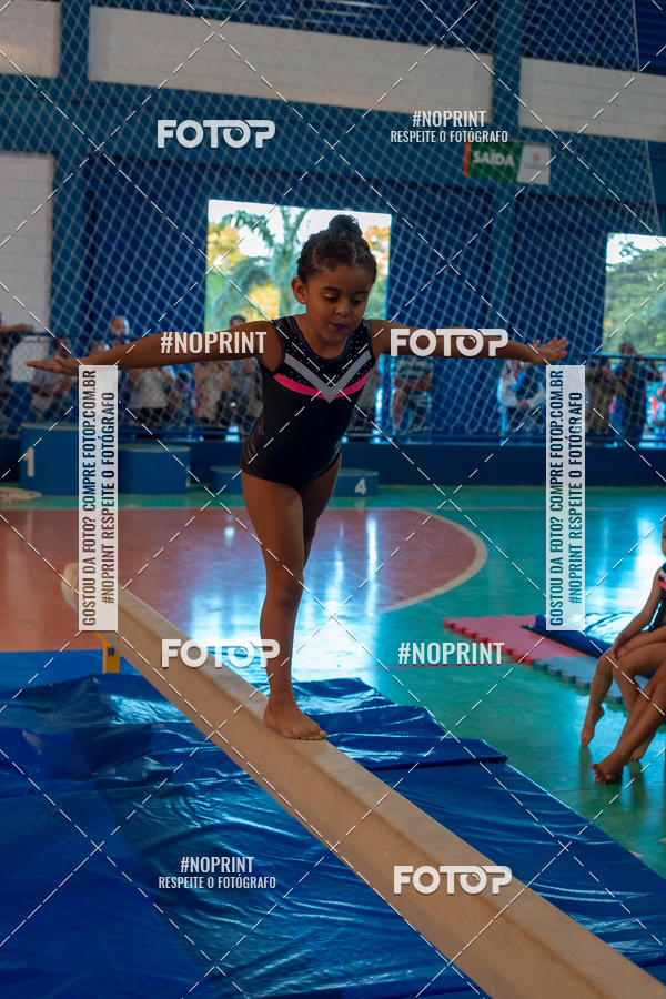 Buy your photos of the eventFESTIVAL DE GINASTICA - HORTOLNDIA   on Fotop
