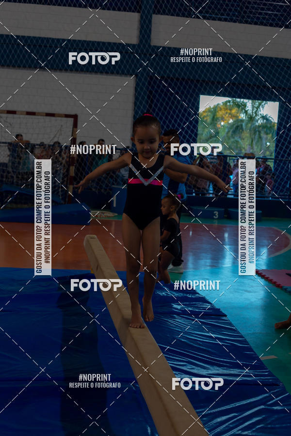 Buy your photos of the eventFESTIVAL DE GINASTICA - HORTOLNDIA   on Fotop
