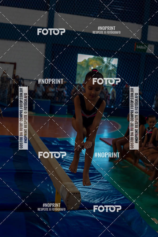Buy your photos of the eventFESTIVAL DE GINASTICA - HORTOLNDIA   on Fotop