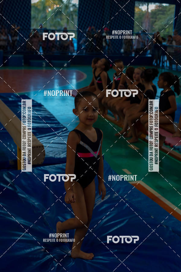 Buy your photos of the eventFESTIVAL DE GINASTICA - HORTOLNDIA   on Fotop