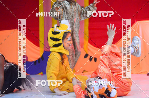 Achetez vos photos de l'vnementColgio Parque - festa de encerramento  2018 sur Fotop