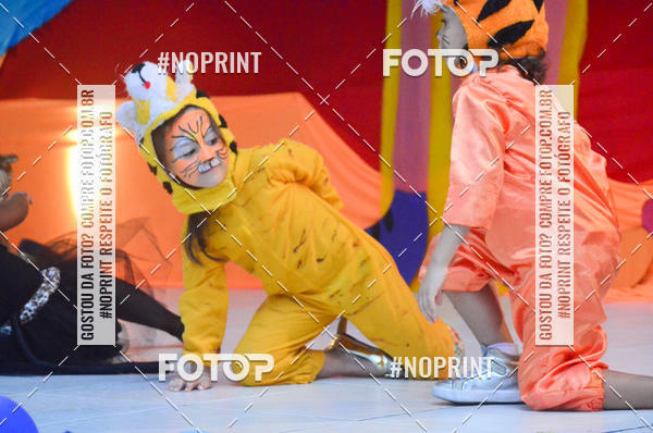 Achetez vos photos de l'vnementColgio Parque - festa de encerramento  2018 sur Fotop