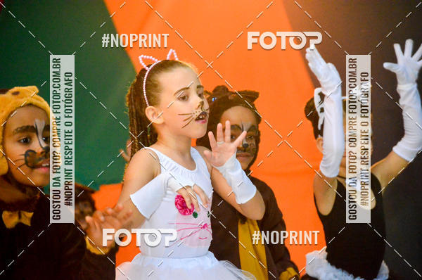 Achetez vos photos de l'vnementColgio Parque - festa de encerramento  2018 sur Fotop