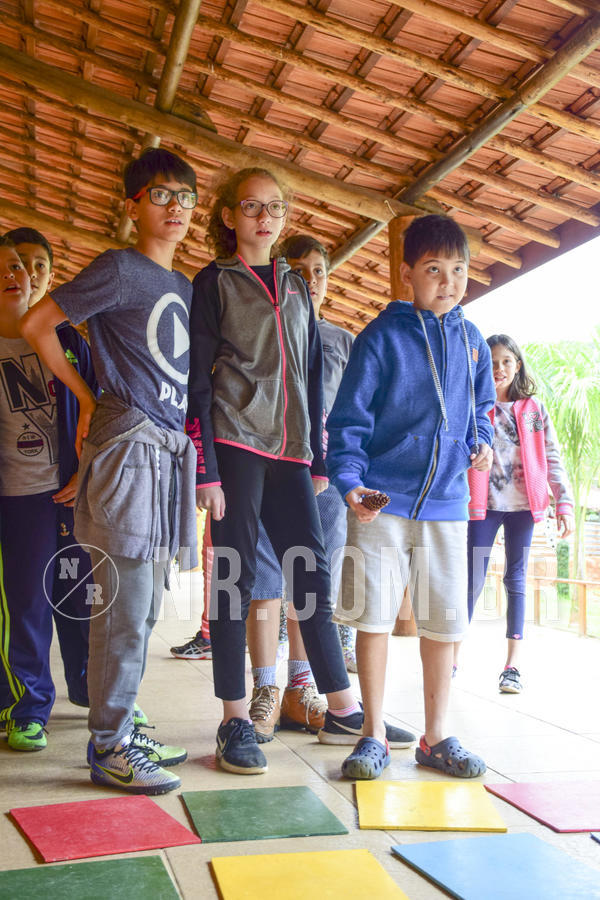 Buy your photos of the eventNR1 Ol� 6� Ano - 07 a 09/12/18 on Fotop