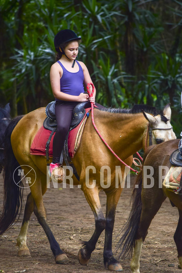 Buy your photos of the eventNR1 Ol� 6� Ano - 07 a 09/12/18 on Fotop