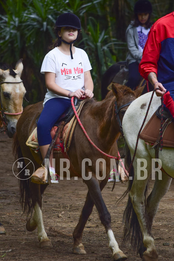 Buy your photos of the eventNR1 Ol� 6� Ano - 07 a 09/12/18 on Fotop