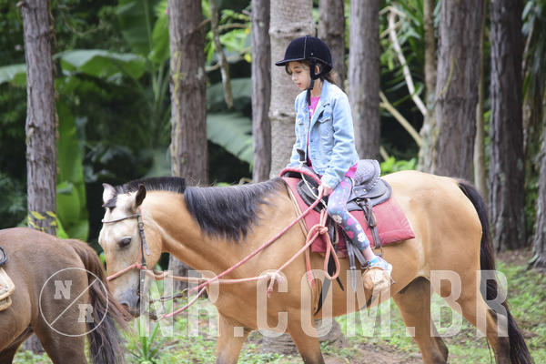 Buy your photos of the eventNR1 Ol� 6� Ano - 07 a 09/12/18 on Fotop