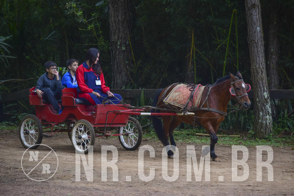 Buy your photos of the eventNR1 Ol� 6� Ano - 07 a 09/12/18 on Fotop