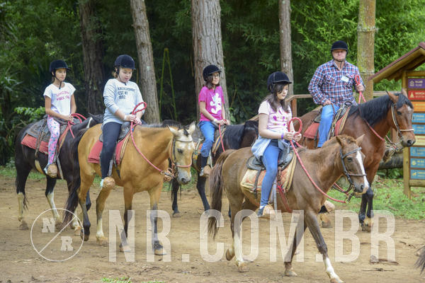 Buy your photos of the eventNR1 Ol� 6� Ano - 07 a 09/12/18 on Fotop