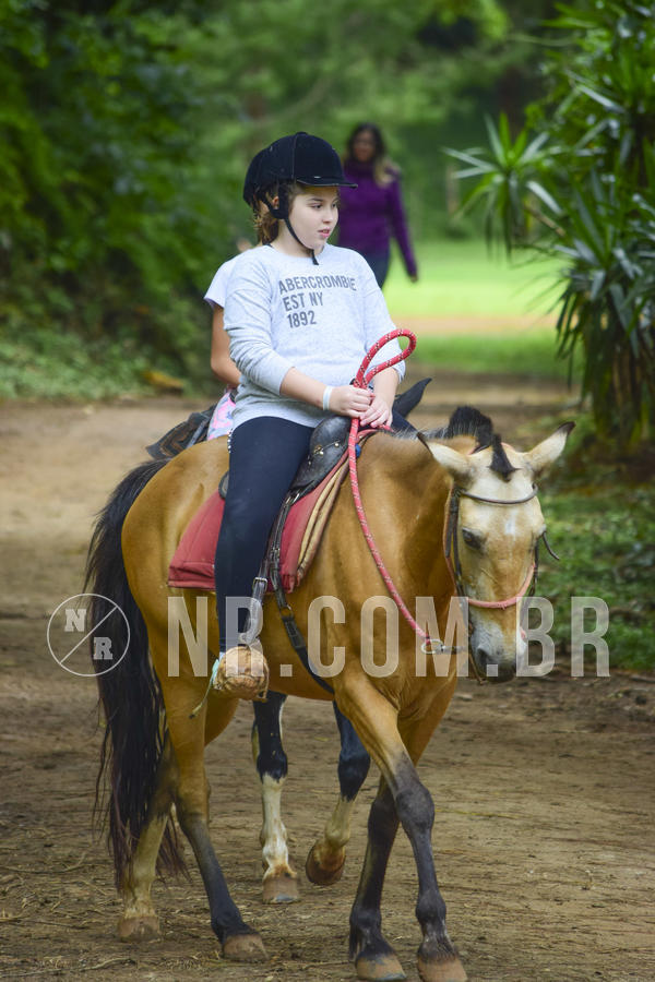 Buy your photos of the eventNR1 Ol� 6� Ano - 07 a 09/12/18 on Fotop