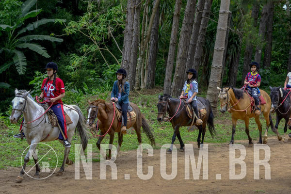 Buy your photos of the eventNR1 Ol� 6� Ano - 07 a 09/12/18 on Fotop