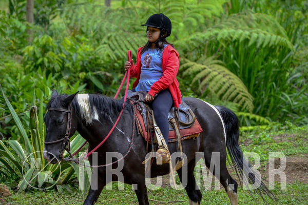 Buy your photos of the eventNR1 Ol� 6� Ano - 07 a 09/12/18 on Fotop