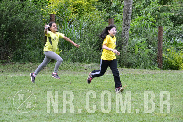 Buy your photos of the eventNR1 Ol� 6� Ano - 07 a 09/12/18 on Fotop